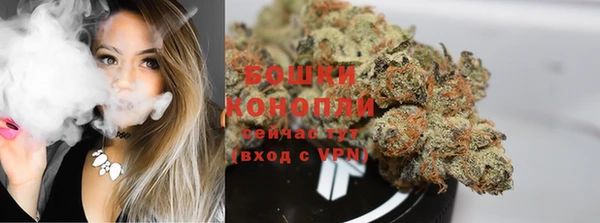 стафф Кулебаки