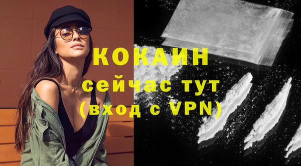 стафф Кулебаки
